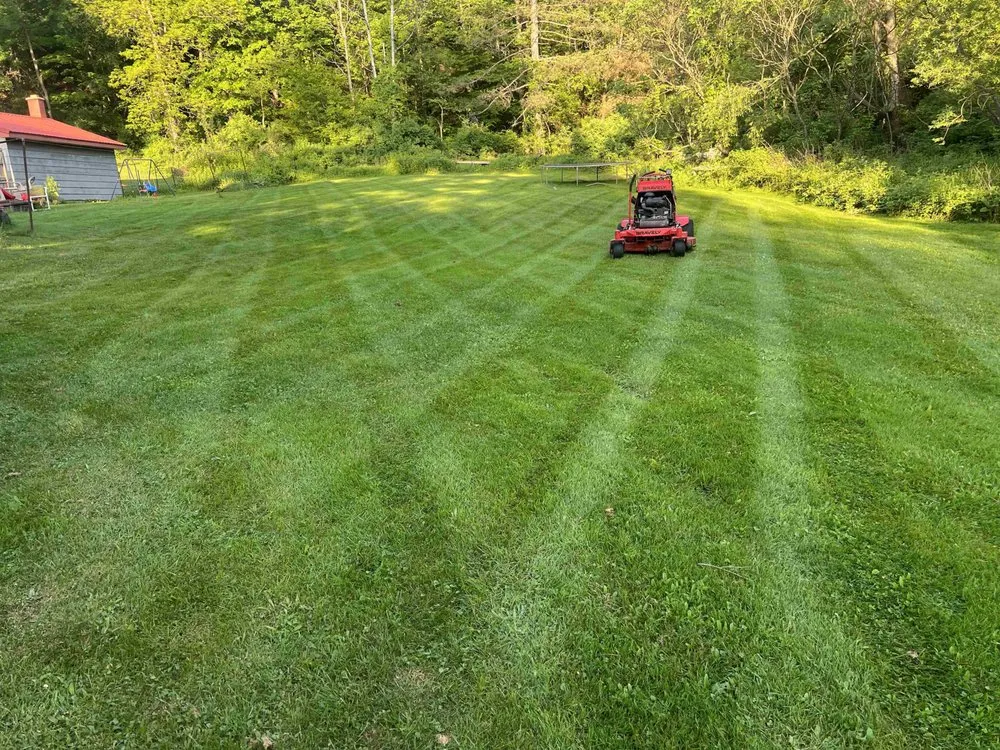 Affordable lawn care service experts serving Stump Creek, PA - All Cut Up Lawncare & Landscape
