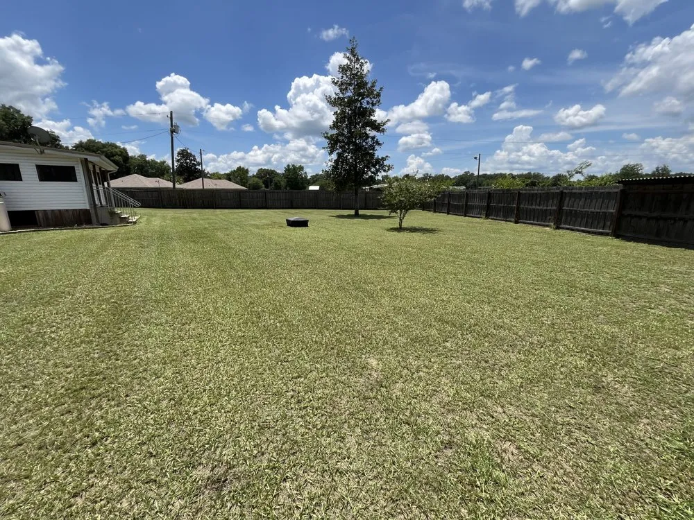 Top-rated lawn mowing service for residential properties in Ocala, FL by All cuts lawn care