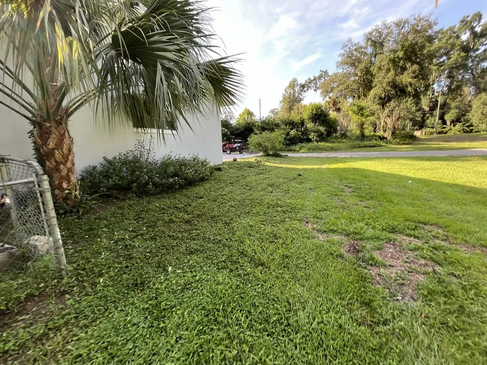 Custom yard cleanup service for outdoor upgrades across Ocala, FL - All cuts lawn care