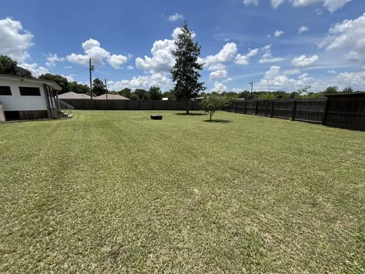 All cuts lawn care Logo