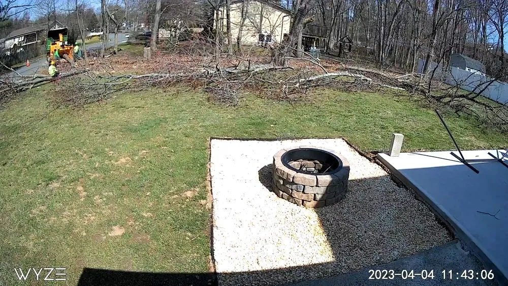 Reliable yard cleanup service near you across Nyack, NY - All Cuts Tree Service