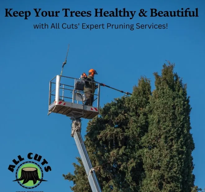 Reliable residential landscaping near you in Nyack, NY by All Cuts Tree Service