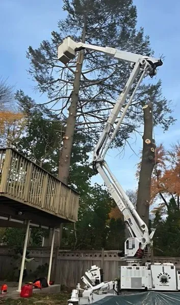 Local landscape design in Nyack, NY - All Cuts Tree Service