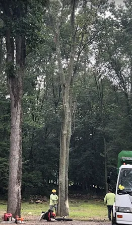 Top-rated residential landscaping in Nyack, NY by All Cuts Tree Service