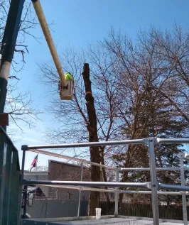 Trusted lawn care service with custom design in Nyack, NY by All Cuts Tree Service