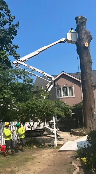 Professional landscaping services near you in Nyack, NY by All Cuts Tree Service