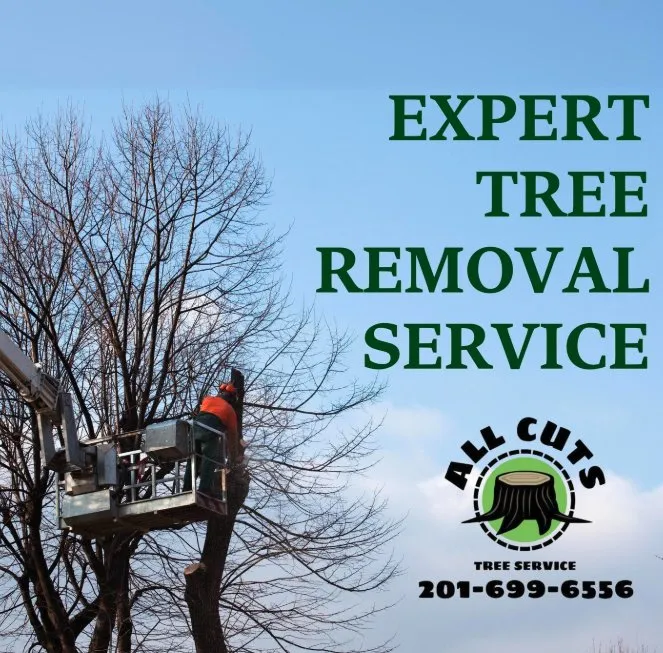 Professional landscape design experts serving Nyack, NY - All Cuts Tree Service