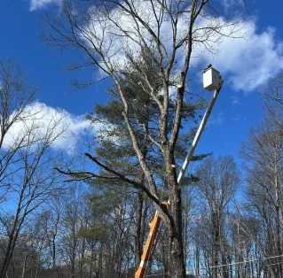 Trusted landscaping services near you in Nyack, NY by All Cuts Tree Service