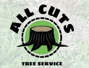Professional lawn care service for beautiful yards in Nyack, NY by All Cuts Tree Service
