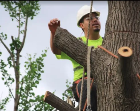 Reliable lawn mowing service experts serving Nyack, NY - All Cuts Tree Service