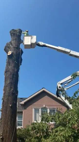 Trusted lawn mowing service in Nyack, NY by All Cuts Tree Service