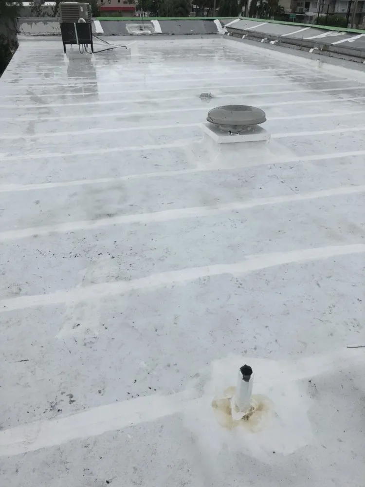 Local yard cleanup service experts serving panama city, FL - All Dade General Construction - DBA Optimum Partners