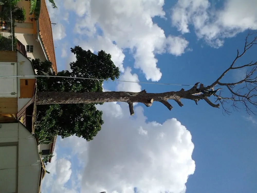 Trusted outdoor landscaping for outdoor upgrades across Miami, FL - All Dade Tree Services