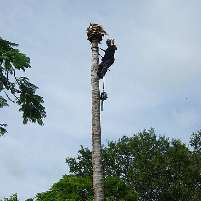 Trusted residential landscaping in Miami, FL by All Dade Tree Services
