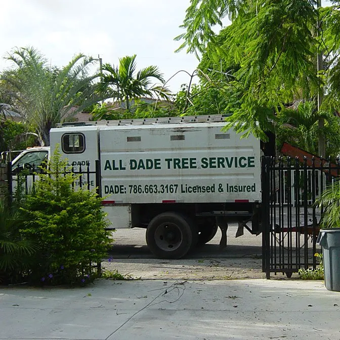 Reliable lawn care service near you in Miami, FL by All Dade Tree Services