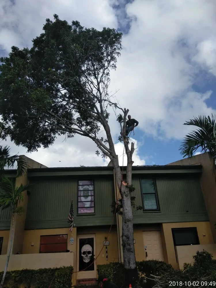 Custom yard maintenance in Miami, FL by All Dade Tree Services