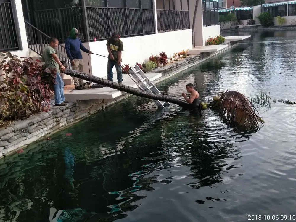 Custom yard maintenance in Miami, FL - All Dade Tree Services