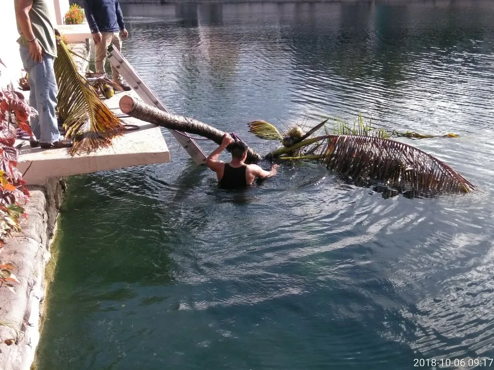 Trusted garden landscaping with custom design across Miami, FL - All Dade Tree Services