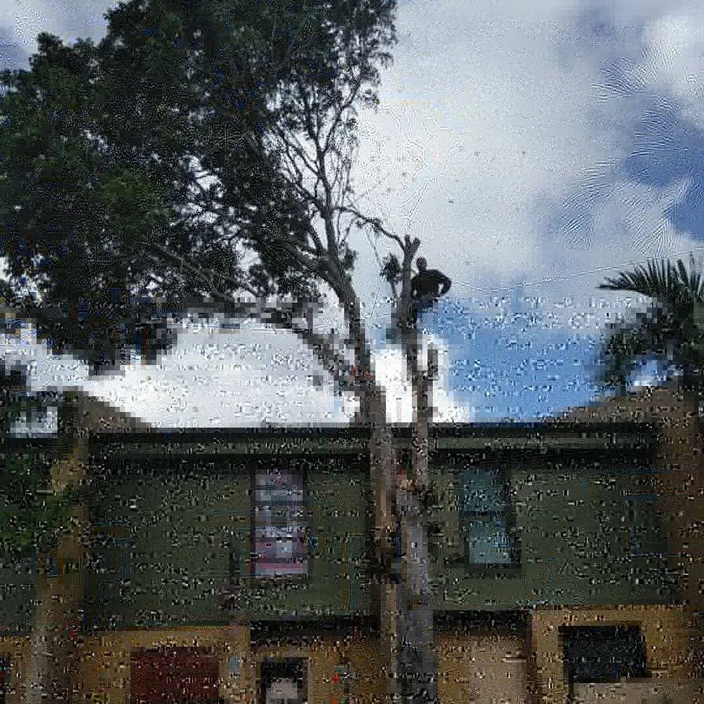 Professional landscaping services for homes in Miami, FL by All Dade Tree Services