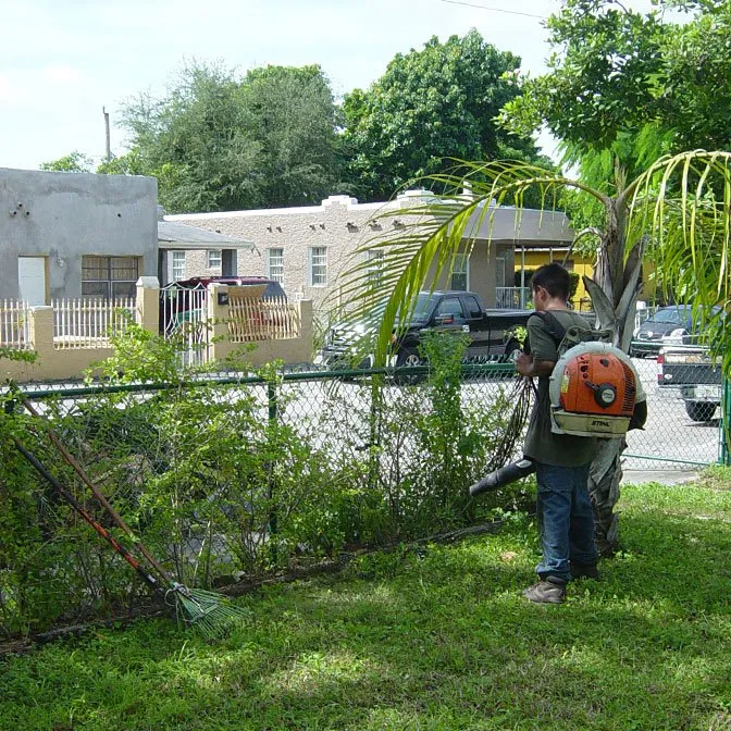 Custom yard cleanup service in Miami, FL by All Dade Tree Services
