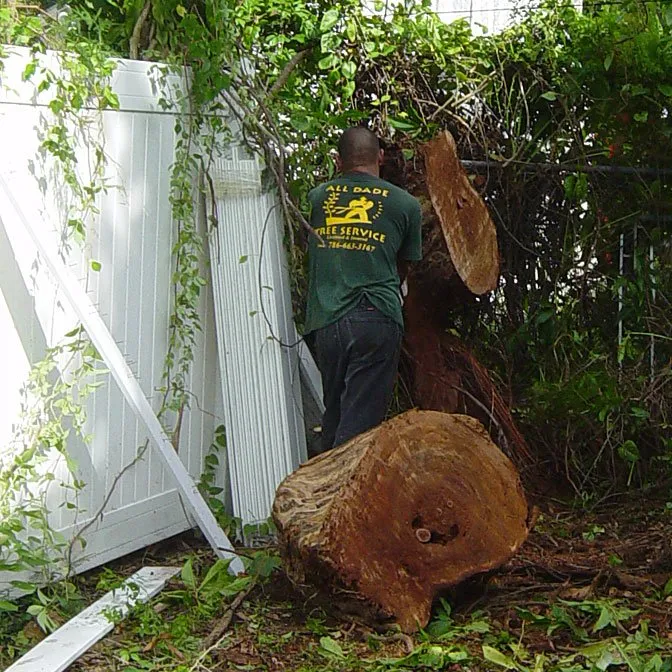Reliable outdoor landscaping in Miami, FL - All Dade Tree Services
