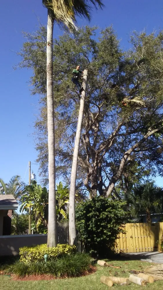 Trusted landscape design in Miami, FL - All Dade Tree Services