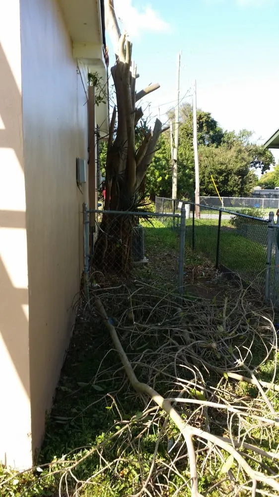 Top-rated lawn care service for residential properties in Miami, FL by All Dade Tree Services