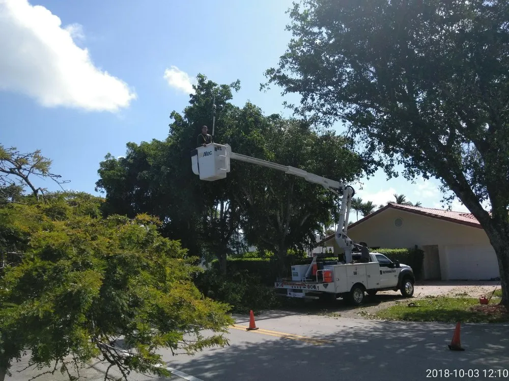 Affordable lawn care service for residential properties across Miami, FL - All Dade Tree Services