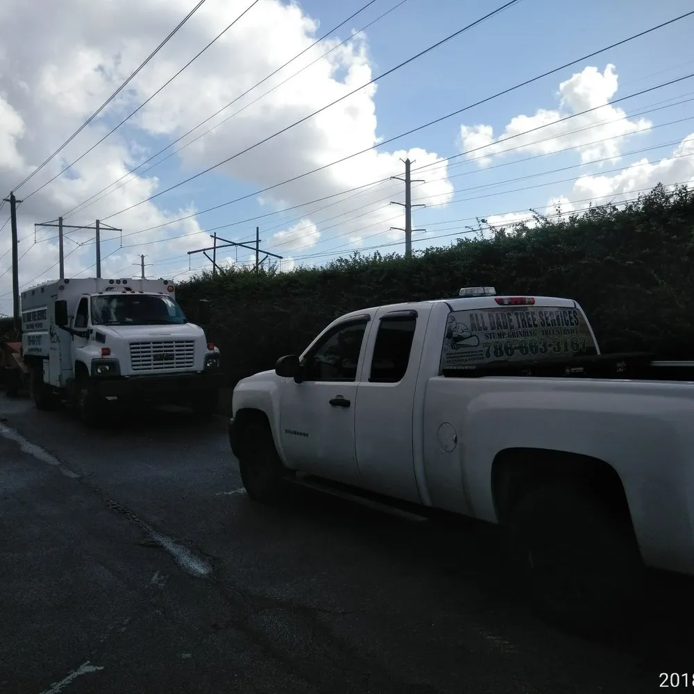 Local garden landscaping for year-round maintenance in Miami, FL by All Dade Tree Services