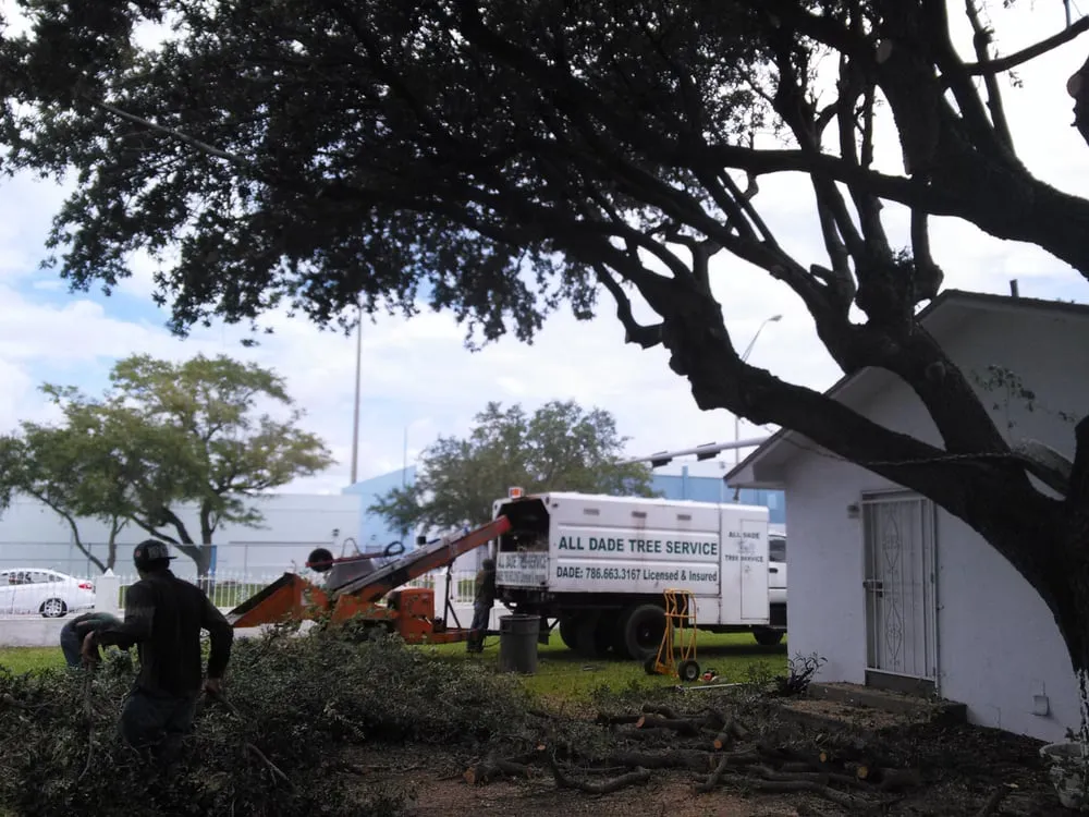 Trusted residential landscaping for residential properties across Miami, FL - All Dade Tree Services