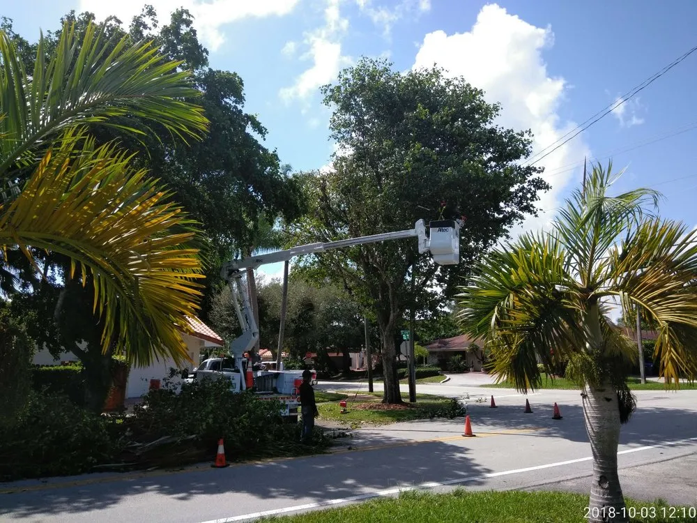 Trusted landscaping services experts serving Miami, FL - All Dade Tree Services