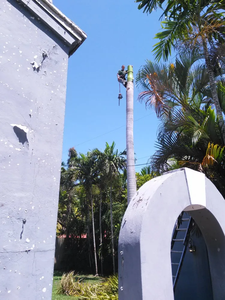 Trusted outdoor landscaping in Miami, FL by All Dade Tree Services