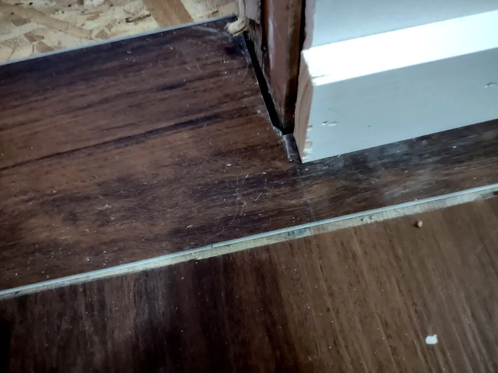 Trusted landscaping services for beautiful yards in Northglenn, CO by All Day Enterprises