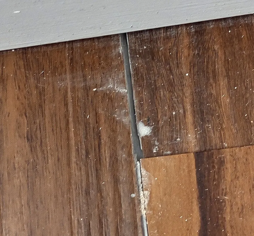 Affordable lawn care service with custom design in Northglenn, CO by All Day Enterprises