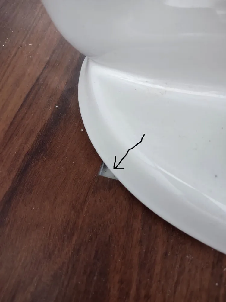 Affordable yard cleanup service in Northglenn, CO by All Day Enterprises