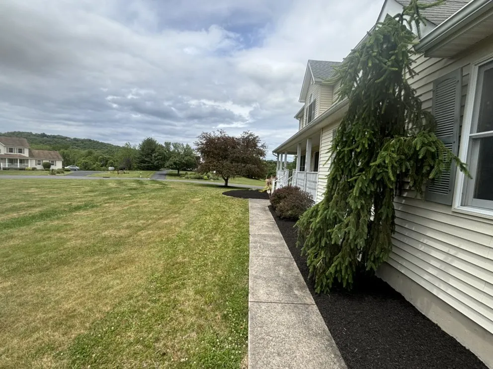 Top-rated yard cleanup service in Sparrow Bush, NY - All Day Landscaping