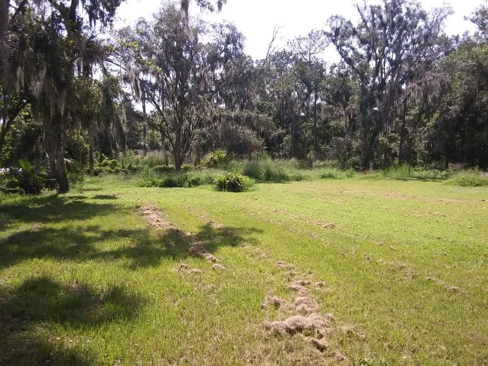 Trusted garden landscaping in Wimauma, FL by All Day Lawn