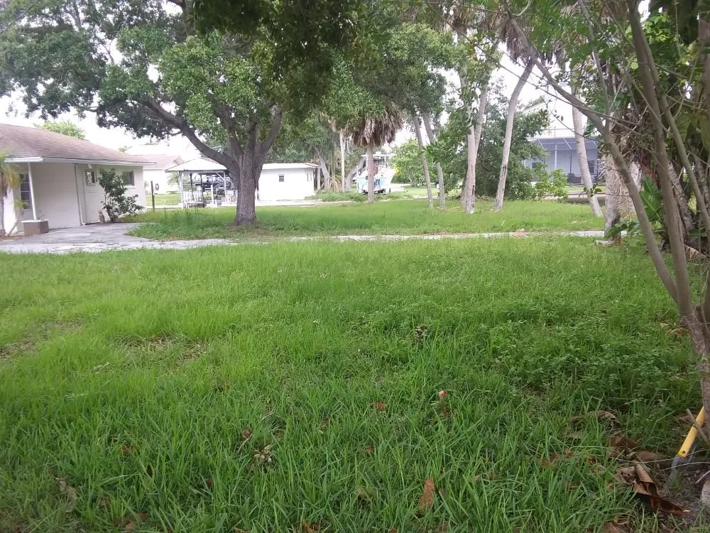 Custom lawn care service in Wimauma, FL by All Day Lawn