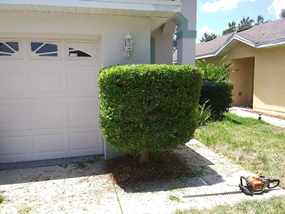 Local landscape installation for outdoor upgrades in Wimauma, FL by All Day Lawn