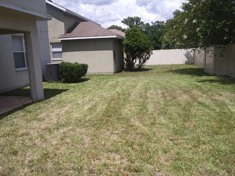 Local lawn mowing service experts serving Wimauma, FL - All Day Lawn