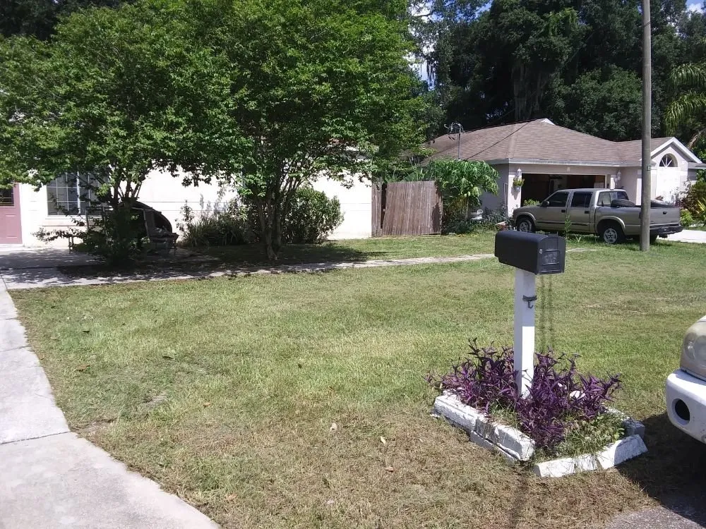 Trusted lawn mowing service in Wimauma, FL by All Day Lawn