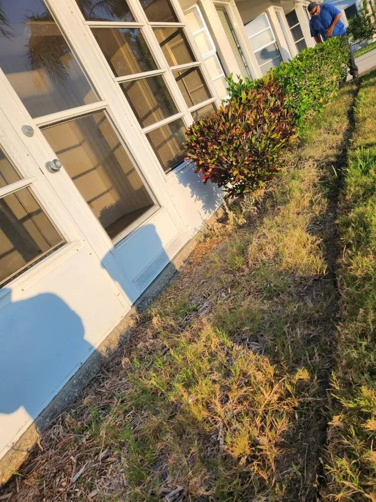 Reliable residential landscaping in Bradenton, FL - All Detail Landscaping