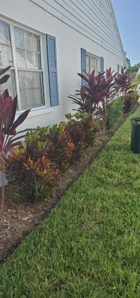 Trusted yard cleanup service for year-round maintenance in Bradenton, FL by All Detail Landscaping