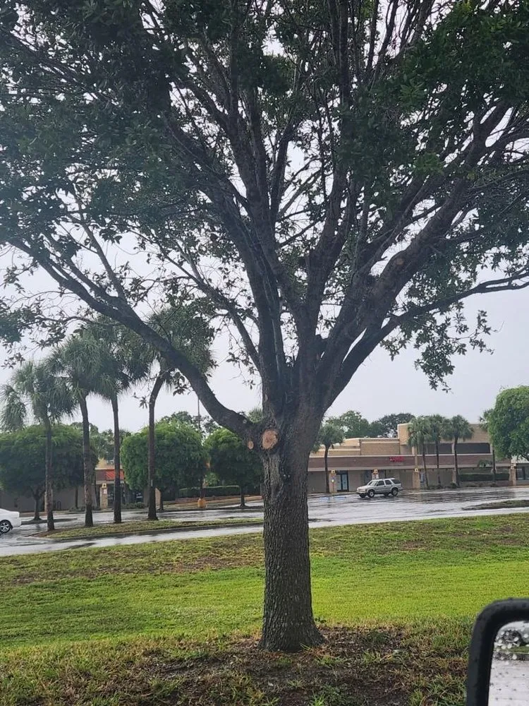 Local landscaping services experts serving Bradenton, FL - All Detail Landscaping