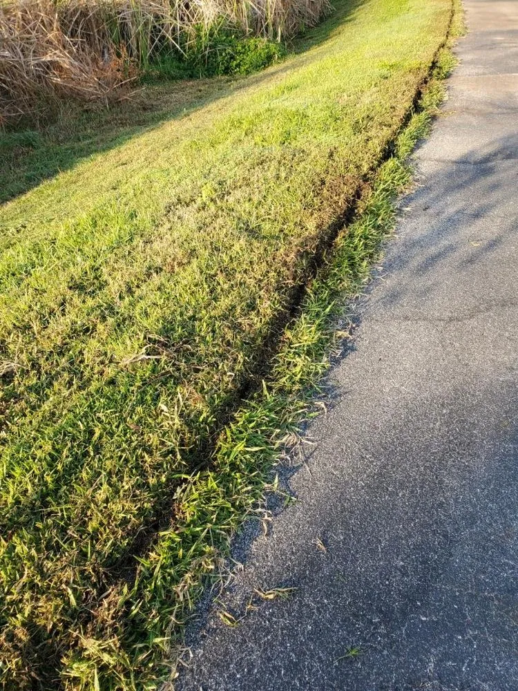 Reliable residential landscaping in Bradenton, FL by All Detail Landscaping