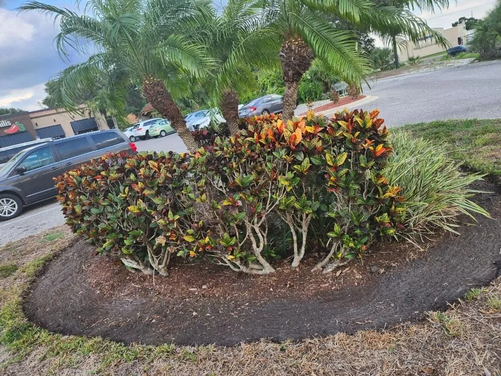 Affordable lawn mowing service in Bradenton, FL - All Detail Landscaping