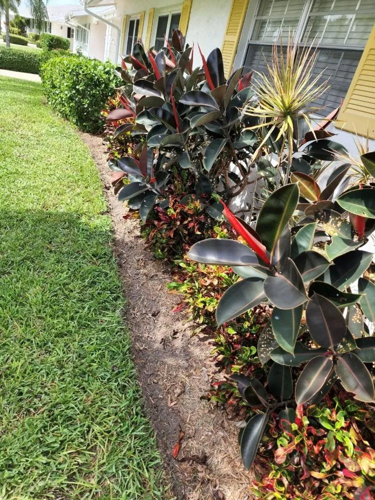 Local lawn care service experts serving Bradenton, FL - All Detail Landscaping