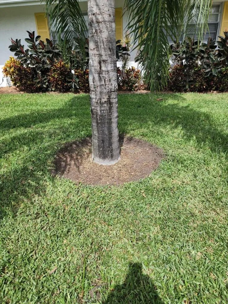 Custom outdoor landscaping in Bradenton, FL by All Detail Landscaping