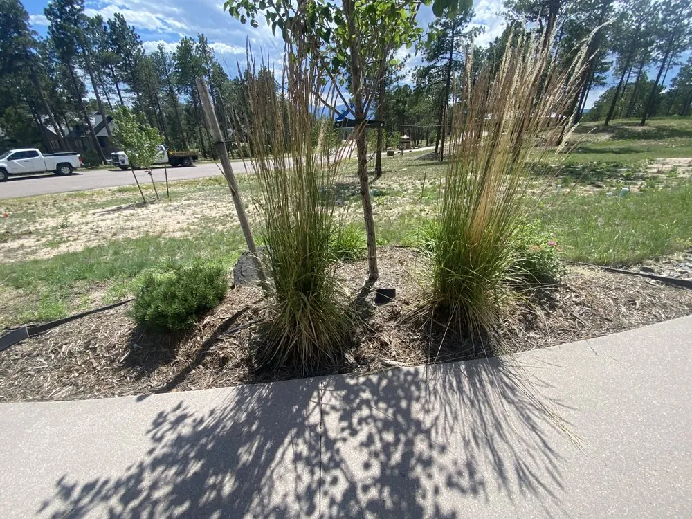 Trusted garden landscaping in Peyton, CO - All Do Landscape
