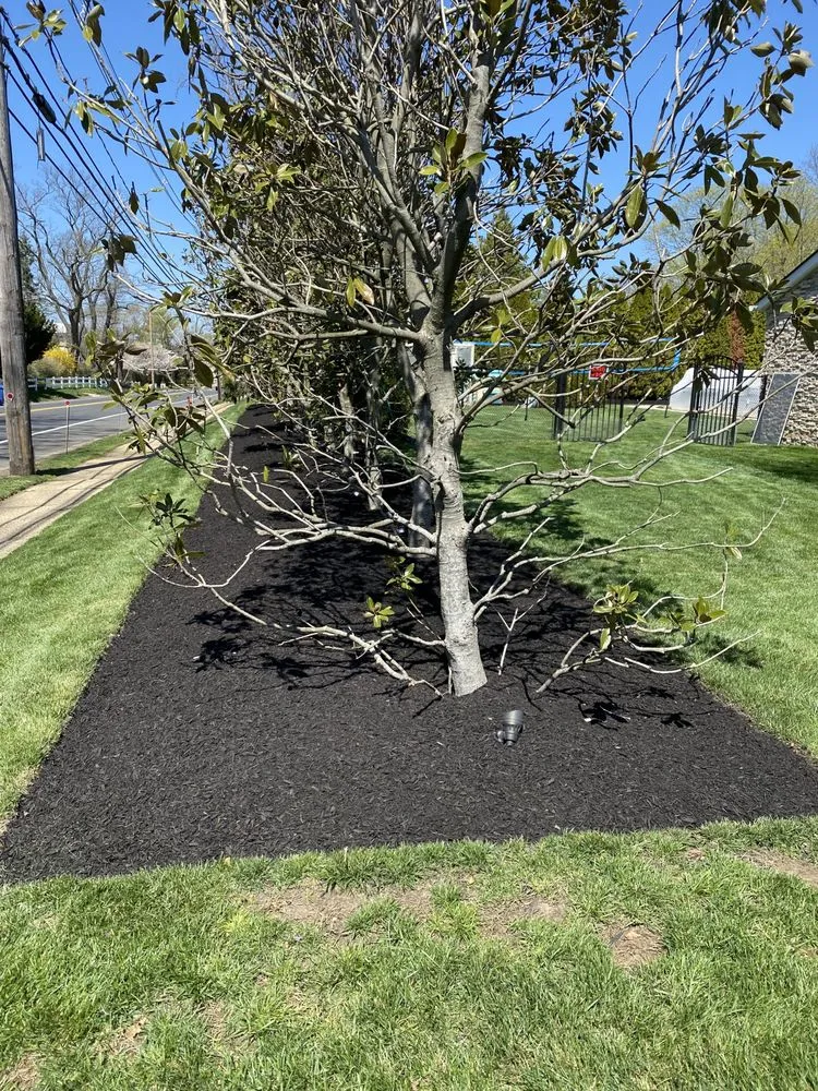 Local lawn mowing service for beautiful yards across Neptune City, NJ - All Dream Landscaping